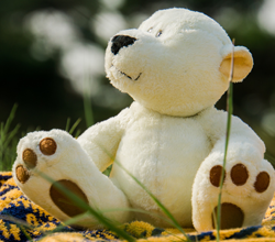 bear-1060700_1920